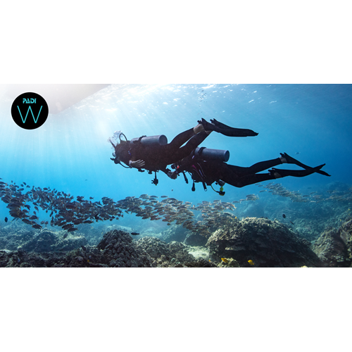 Open water Diver Class- Phase 1 & 2 Ladies Only 